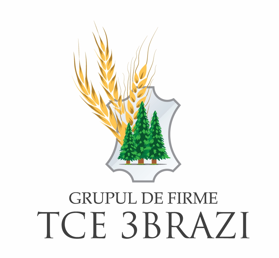 GRUPUL DE FIRME TCE 3 BRAZI