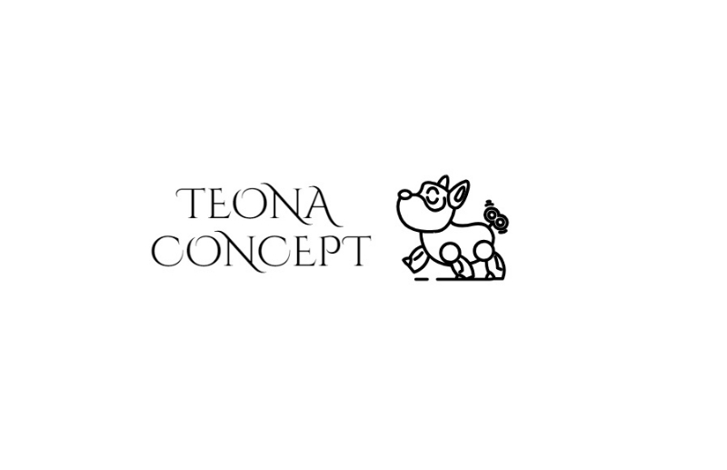 TEONA CONCEPT