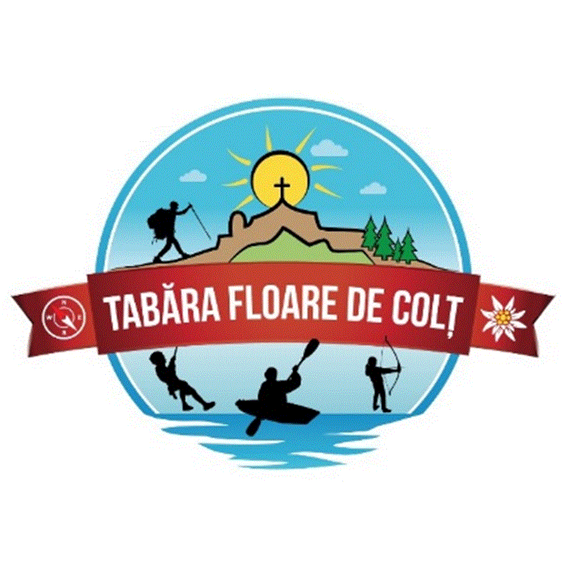 TABĂRA FLOARE DE COLȚ