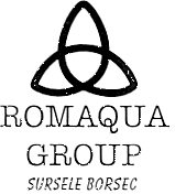 ROMAQUA GROUP SURSELE BORSEC