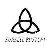 SURSELE BUŞTENI
