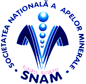 SNAM SURSELE SICULENI