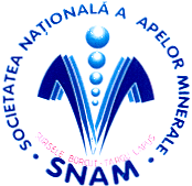 SNAM SURSELE BORCUT TARGU LAPUS