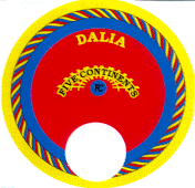 FC FIVE CONTINENTS DALIA