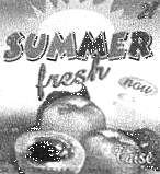 SUMMER FRESH