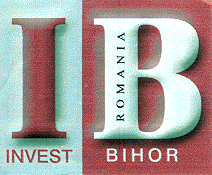 I B BIHOR INVEST
