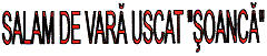 SALAM DE VARA USCAT SOANCA