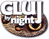 CLUJ BY NIGHT