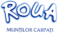 ROUA MUNŢILOR CARPAŢI