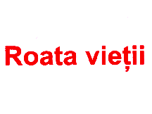ROATA VIEŢII