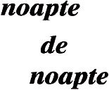 NOAPTE DE NOAPTE