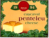 THEREZIA CASCAVAL PENTELEU