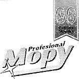 PROFESIONAL MOPY