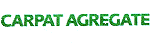 CARPAT AGREGATE