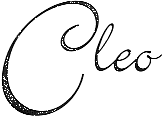 CLEO