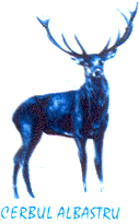 CERBUL ALBASTRU