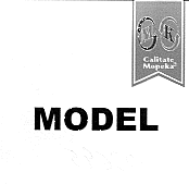 MODEL CALITATE MOPEKA