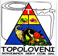 TOPOLOVENI SONIMPEX SERV COM SRL