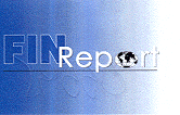 FIN REPORT