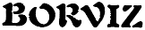 BORVIZ