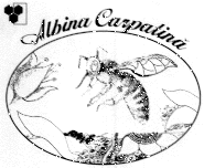 ALBINA CARPATINĂ