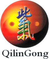 QILIN GONG