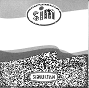 SIM SIMULTAN