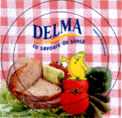 DELMA CU SAVOARE DE SUNCA