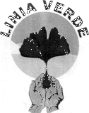 LINIA VERDE