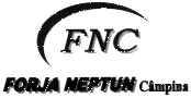 FNC FORJA NEPTUN CÂMPINA