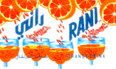 RANI FLOAT ORANGE DRINK