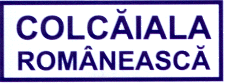 COLCĂIALA ROMÂNEASCĂ