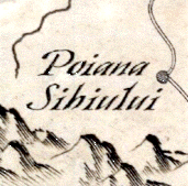 POIANA SIBIULUI