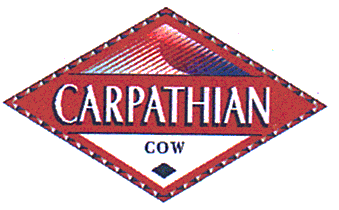 CARPATHIAN COW