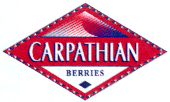 CARPATHIAN BERRIES