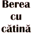 BEREA CU CĂTINĂ