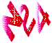 N 24
