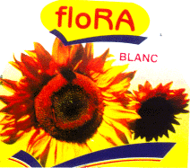 FLORA BLANC