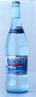 BORSEC