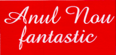 ANUL NOU FANTASTIC