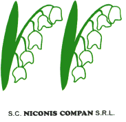 SC NICONIS COMPAN SRL