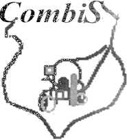 COMBIS