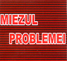 MIEZUL PROBLEMEI