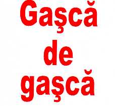 GAŞCĂ DE GAŞCĂ