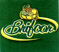 BRIFCOR