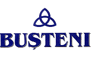 BUSTENI