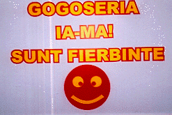 GOGOSERIA IA-MA SUNT FIERBINTE