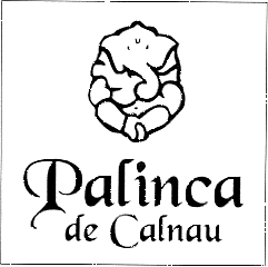 PALINCA DE CALNAU