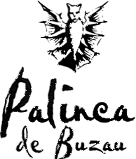 PALINCA DE BUZAU