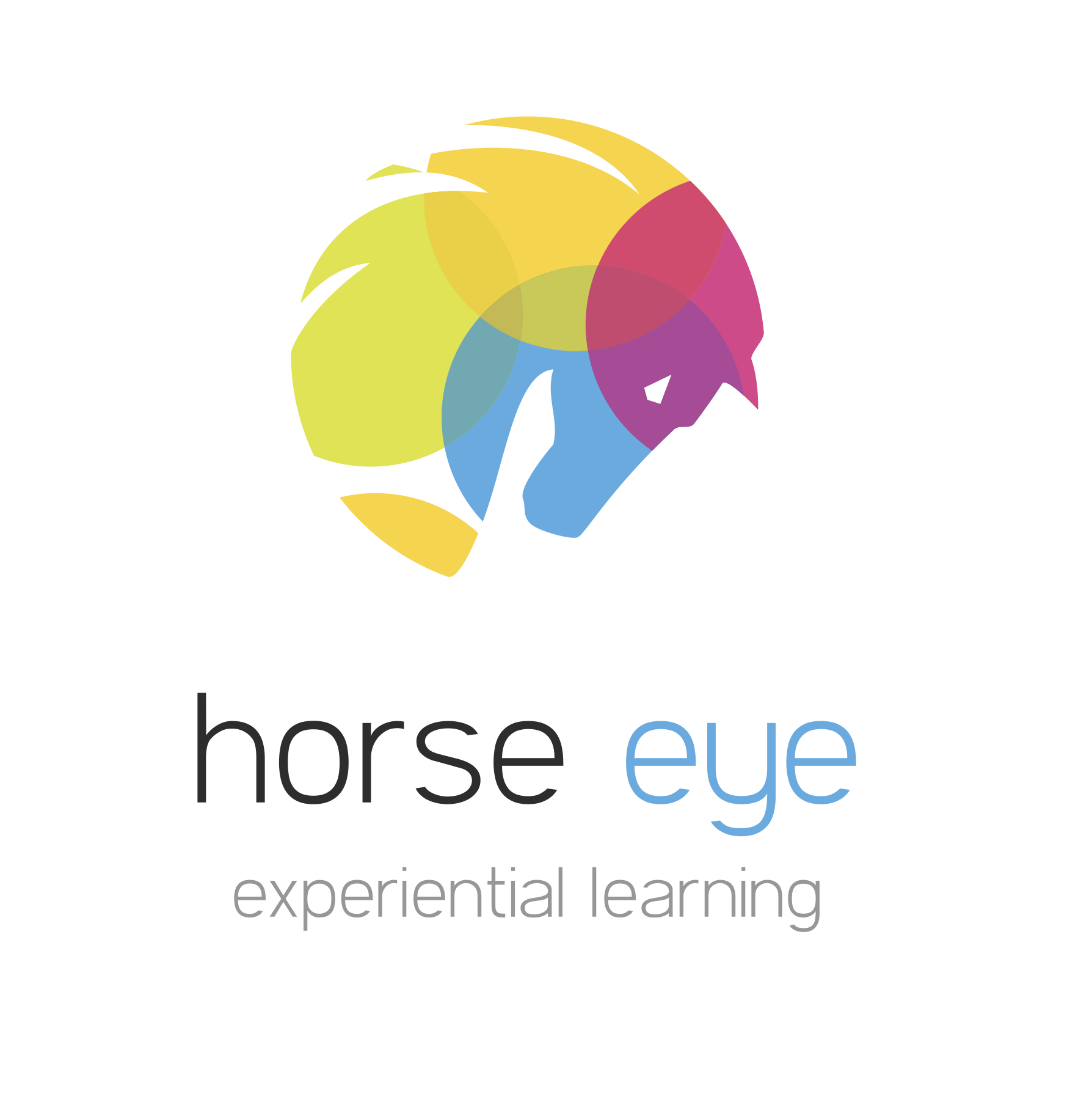 horse eye experiential learning